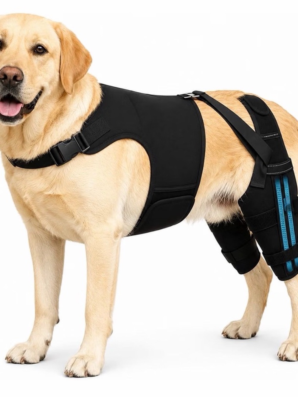 Black Dog Rear Support Harness - Comfort Mobility Vest XL